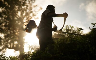 Débroussaillage obligatoire dans le Var et en PACA : ce qu’il faut savoir