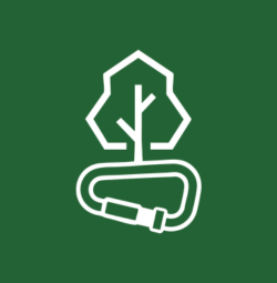 logo icone arbo service vert sapin