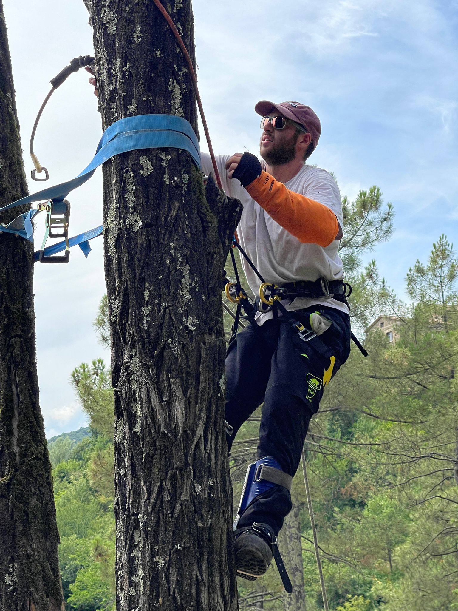 grimpeur elagueur intervenant en toute sécurité sur un arbre menaçant de tomber à marseille