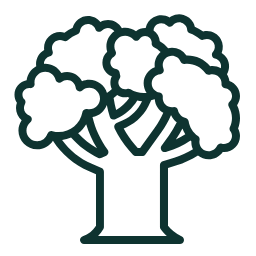 arbre trop dense ou envahissant nécessitant un élagage