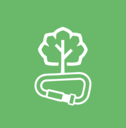 logo icone arbo service vert clair
