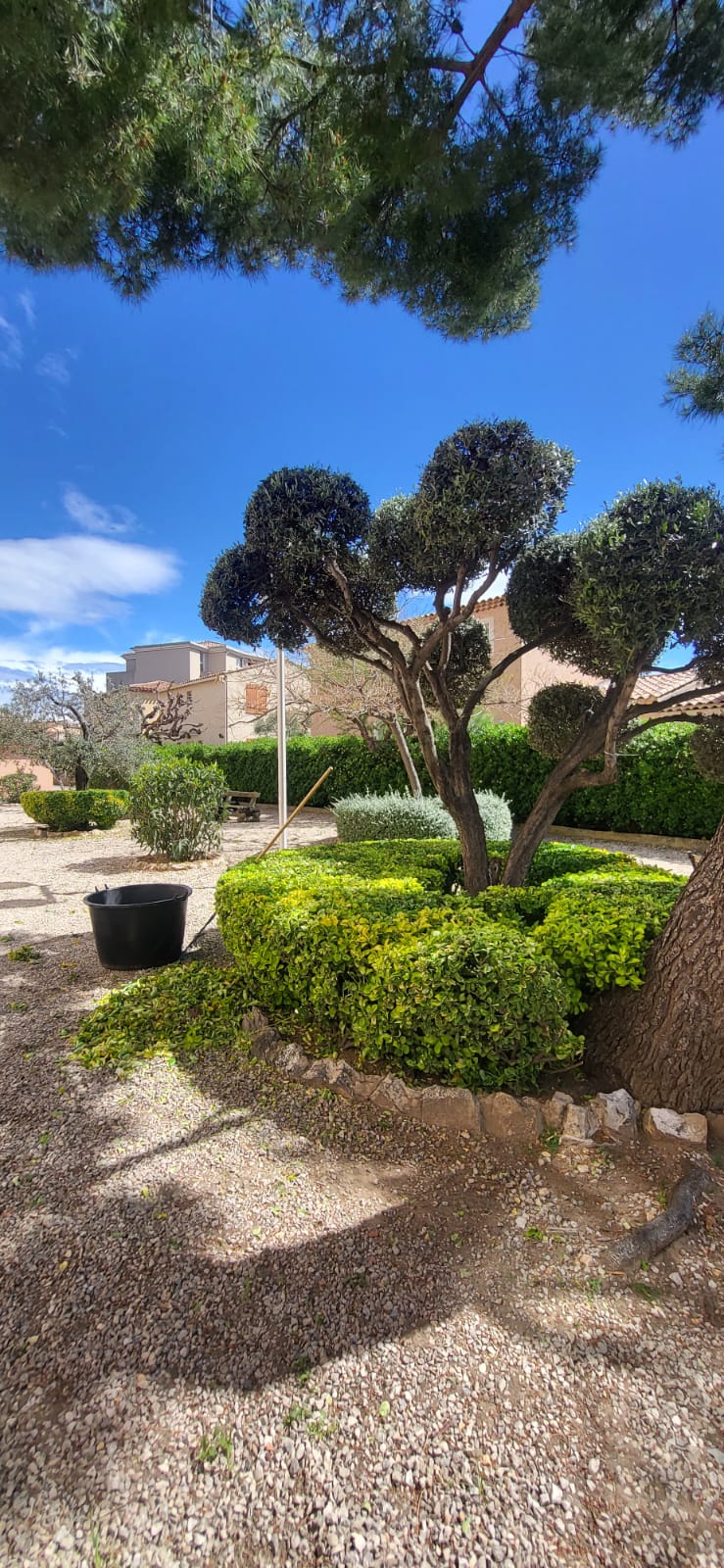 entretien de jardin d'une copropriété par un professionnel de l'entretien de jardin à marseille