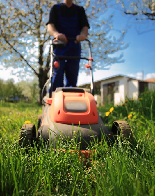 tonte d'un jardin de particulier par un professionnel de l'entretien de jardin à marseille